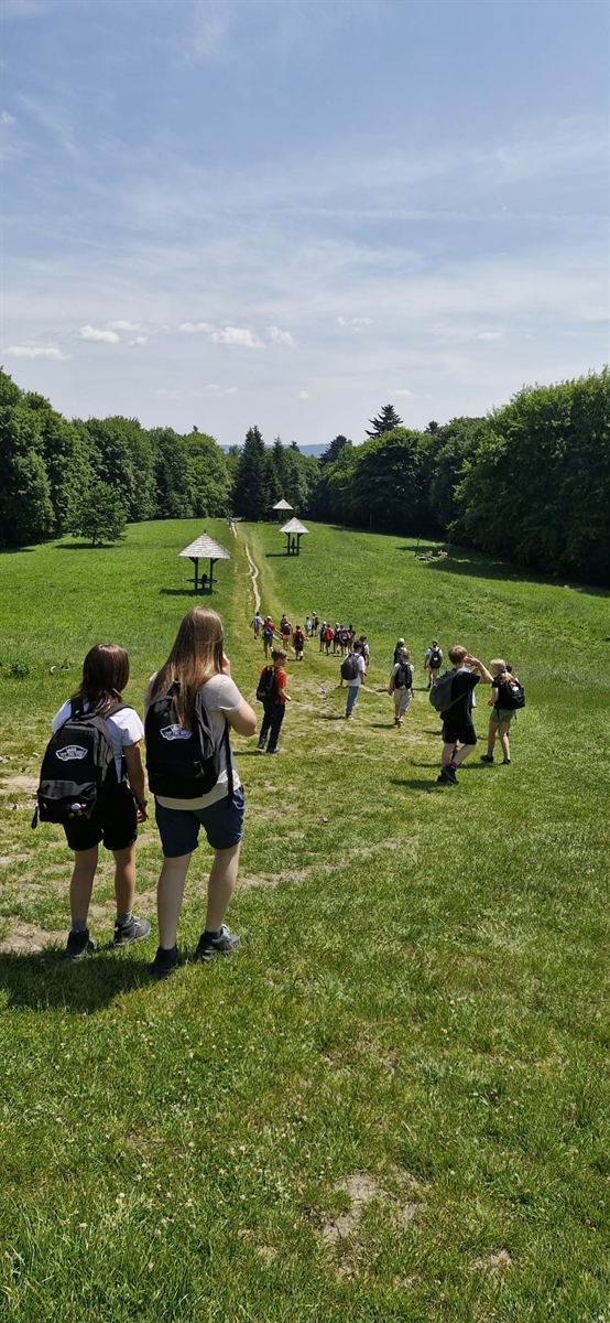 Klasa z plecakami schodzi ścieżką przez zieloną polanę